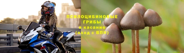 первитин Армянск