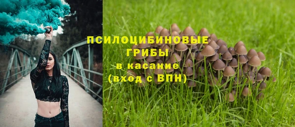 первитин Армянск