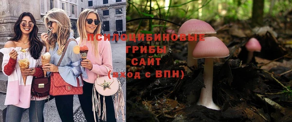 эйфоретик Аркадак