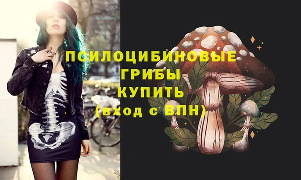 эйфоретик Аркадак