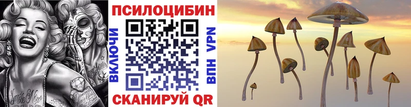 наркота  Кирово-Чепецк  Галлюциногенные грибы Psilocybine cubensis 