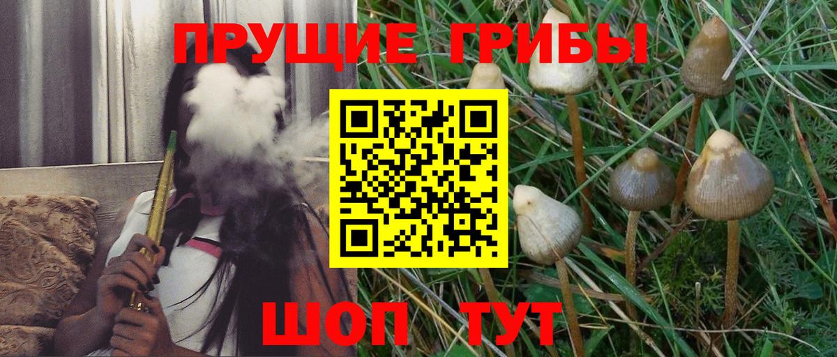 Псилоцибиновые грибы мицелий  Псилоцибиновые грибы GOLDEN TEACHER  Вход с VPN  Кирово-Чепецк 